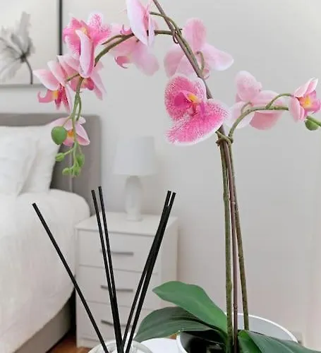 Apartman Seaside M 5 - Sea View & Parking *